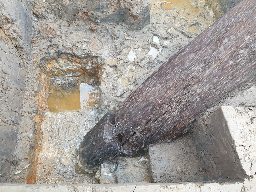 Thân cọc có "ngoàm" dùng để buộc dây Thân cọc có "ngoàm" dùng để buộc dây