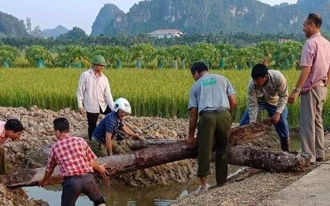 Trước đó, hai cọc gỗ hàng nghìn năm tuổi được phát hiện bên sông Bạch Đằng Trước đó, hai cọc gỗ hàng nghìn năm tuổi được phát hiện bên sông Bạch Đằng