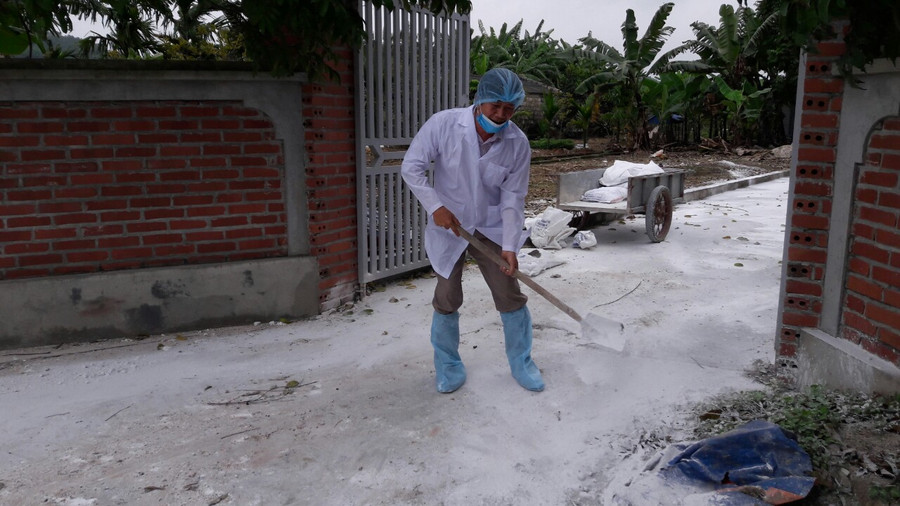 Công tác kiểm soát dịch tả lợn Châu Phi được các cơ quan chuyên môn Hải Phòng làm chặt chẽ Công tác kiểm soát dịch tả lợn Châu Phi được các cơ quan chuyên môn Hải Phòng làm chặt chẽ