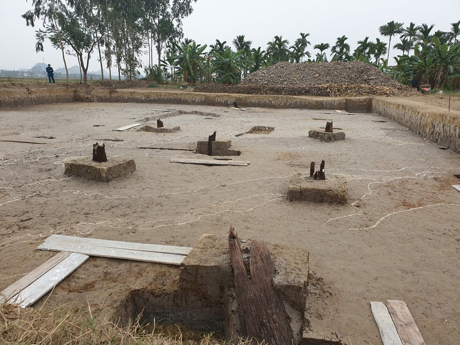 Bãi cọc rộng lớn với những chiếc cọc nghìn năm tuổi Bãi cọc rộng lớn với những chiếc cọc nghìn năm tuổi