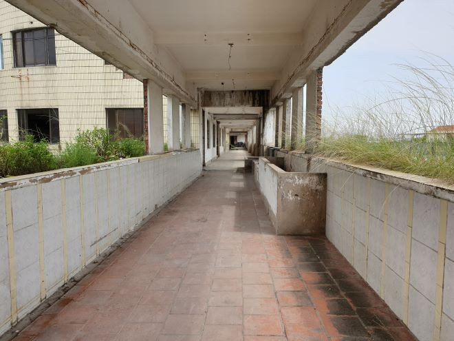 Cỏ dại mọc um tùm giữa lối đi lên tầng 6 của tòa nhà Cỏ dại mọc um tùm giữa lối đi lên tầng 6 của tòa nhà