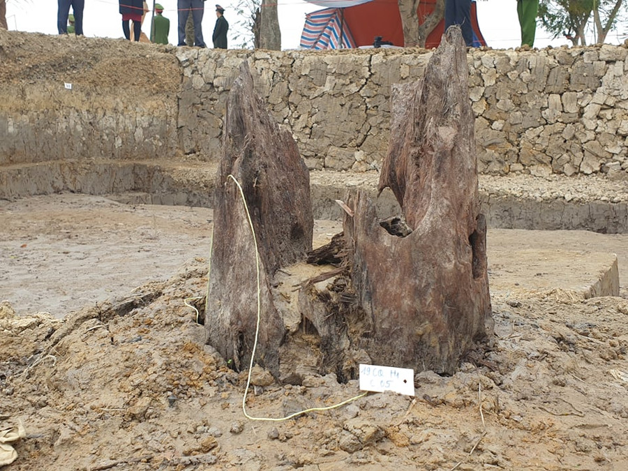 Từng chiếc cọc được đánh số hiệu Từng chiếc cọc được đánh số hiệu