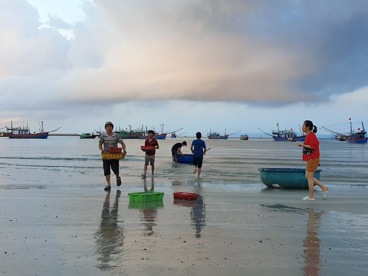 Ngư dân chuyển hải sản lên bờ để đổ mối Ngư dân chuyển hải sản lên bờ để đổ mối