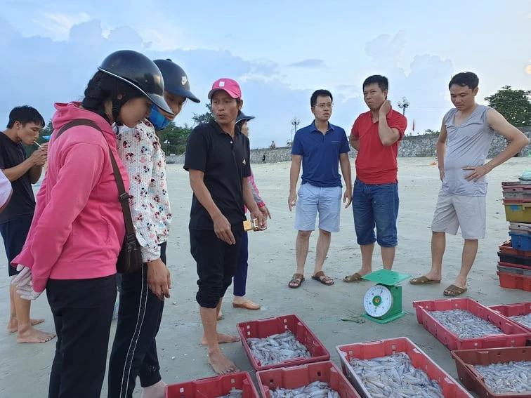 Rất đông du khách đến bãi Tình Yêu nơi các thuyền đánh bắt đổ buôn hải sản để mua hàng