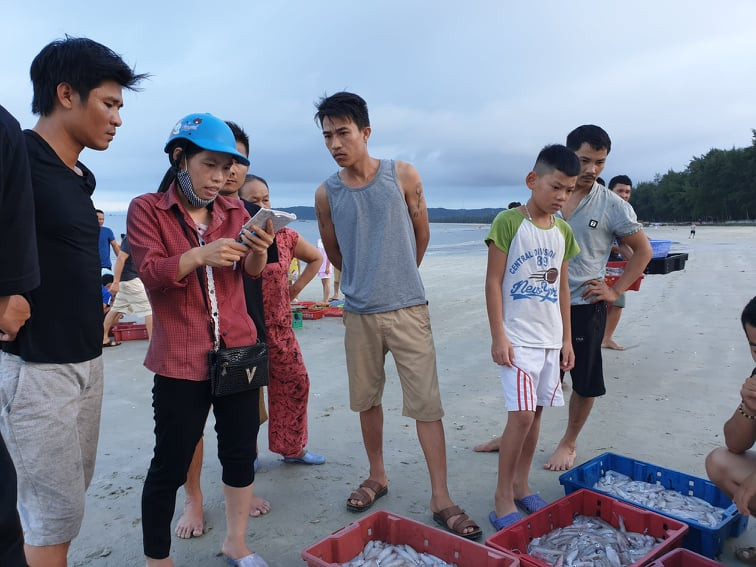 Các mối đổ buôn hải sản của ngư dân vào nếp, không có cảnh ồn ào, cãi vã Các mối đổ buôn hải sản của ngư dân vào nếp, không có cảnh ồn ào, cãi vã