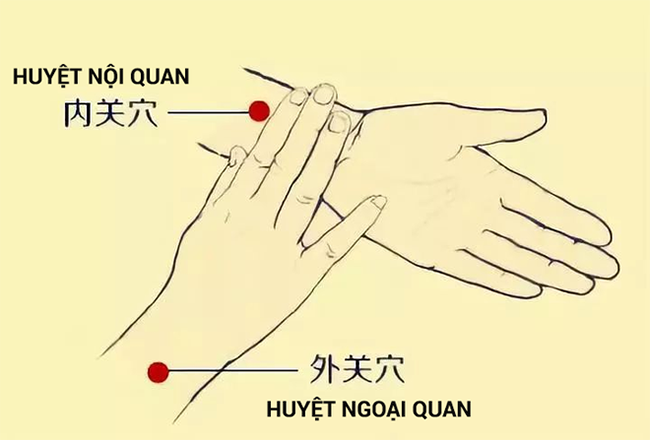 3 huyệt vị giúp phòng chữa bệnh gan nhiễm mỡ: Cách bấm đơn giản, hiệu quả lâu dài