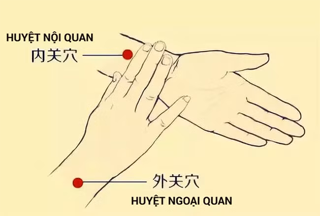 3 huyệt vị giúp phòng chữa bệnh gan nhiễm mỡ: Cách bấm đơn giản, hiệu quả lâu dài