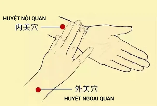 3 huyệt vị giúp phòng chữa bệnh gan nhiễm mỡ: Cách bấm đơn giản, hiệu quả lâu dài