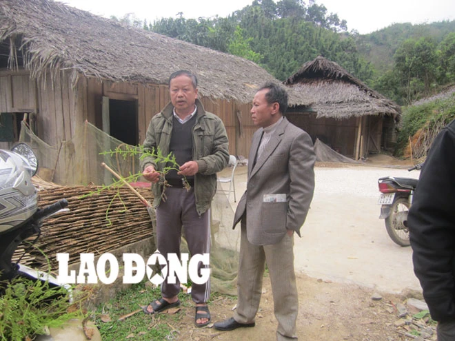Lương y vùng cao tiết lộ bài thuốc chữa zona thần kinh hiệu quả, không tốn tiền