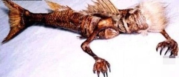 6 sự kiện kỳ lạ được giấu kín tại Trung Quốc ảnh 7 6 sự kiện kỳ lạ được giấu kín tại Trung Quốc ảnh 7