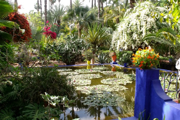 5. Vườn Jardin Majorelle, Morocco: Jardin Majorelle là điểm dừng chân không thể bỏ qua khi đến Ma rốc, thu hút hàng triệu du khách đến tham quan mỗi năm. Khu vườn như một bức tranh tuyệt đẹp, yên bình đan xen giữa cây xanh, hồ nước, các loại hoa... do họa sĩ Jacques Majorelle thiết kế vào năm 1920. Ngày nay chủ nhân mới của vườn là nhà thiết kế thời trang nổi tiếng Yves Saint Laurent. 5. Jardin Majorelle: Jardin Majorelle là điểm dừng chân không thể bỏ qua khi đến Ma rốc, thu hút hàng triệu du khách đến tham quan mỗi năm. Khu vườn như một bức tranh tuyệt đẹp, yên bình đan xen giữa cây xanh, hồ nước, các loại hoa... do họa sĩ Jacques Majorelle thiết kế vào năm 1920. Ngày nay chủ nhân mới của vườn là nhà thiết kế thời trang nổi tiếng Yves Saint Laurent.