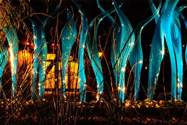 7. Desert: Sa mạc vườn bách thảo ở Arizona có các bộ sưu tập thực vật sa mạc ngoạn mục nhất, với khoảng 17 000 loại. Vườn có một trung tâm nghiên cứu thực vật sa mạc rộng 13.700m2, một thư viện, phòng thí nghiệm, bảo tồn thực vật, và các cơ sở nghiên cứu.