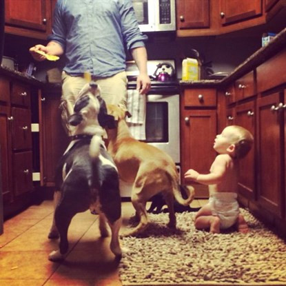 Những bức ảnh gia đình hài hước lan truyền trên mạng ảnh 1