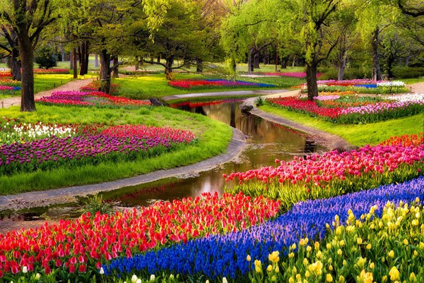 3. Vườn Keukenhof, Hà Lan: Luôn nằm trong danh sách những khu vườn mùa xuân đẹp nhất thế giới, Keukenhof có hơn 7 triệu hoa tulip, hoa thủy tiên vàng và lục bình trải dài trên diện tích khoảng 32 ha. Tuyệt vời hơn, trong thời gian thưởng hoa, bạn còn có được những lời khuyên hữu ích về cách sử dụng hoa. Ngoài ra, trong khu vườn hoa tuyệt đẹp này còn có rất nhiều nhà hàng, cà phê, các tour du lịch với xe đạp, thuyền mà bạn không thể bỏ lỡ. 3. Keukenhof: Luôn nằm trong danh sách những khu vườn mùa xuân đẹp nhất thế giới, Keukenhof có hơn 7 triệu hoa tulip, hoa thủy tiên vàng và lục bình trải dài trên diện tích khoảng 32 ha. Tuyệt vời hơn, trong thời gian thưởng hoa, bạn còn có được những lời khuyên hữu ích về cách sử dụng hoa. Ngoài ra, trong khu vườn hoa tuyệt đẹp này còn có rất nhiều nhà hàng, cà phê, các tour du lịch với xe đạp, thuyền mà bạn không thể bỏ lỡ.