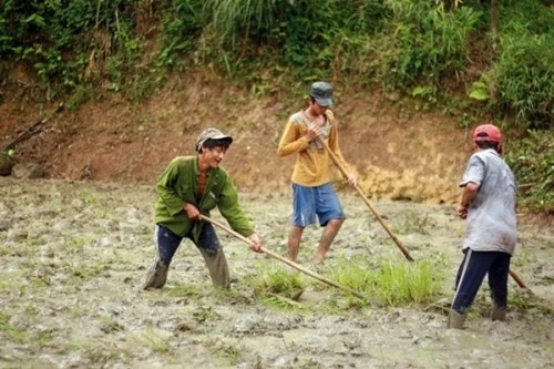 "Người rừng" Hồ Văn Lang cố gắng học chữ để... tìm vợ