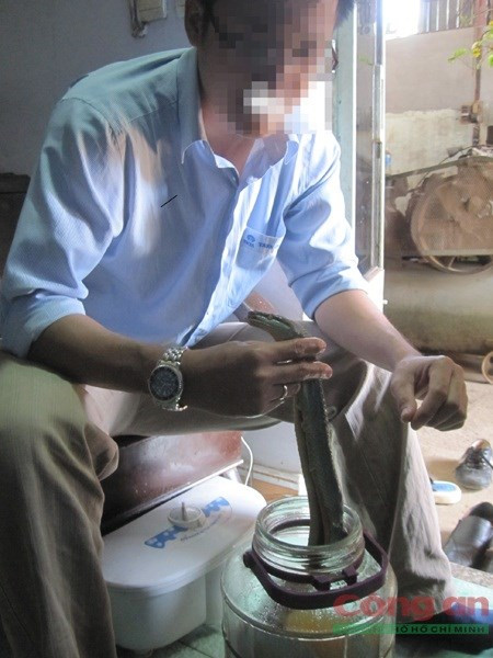 Ớn lạnh chuyện ngâm rượu rắn lục đuôi đỏ - ảnh 1