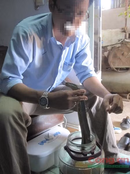 Ớn lạnh chuyện ngâm rượu rắn lục đuôi đỏ - ảnh 1