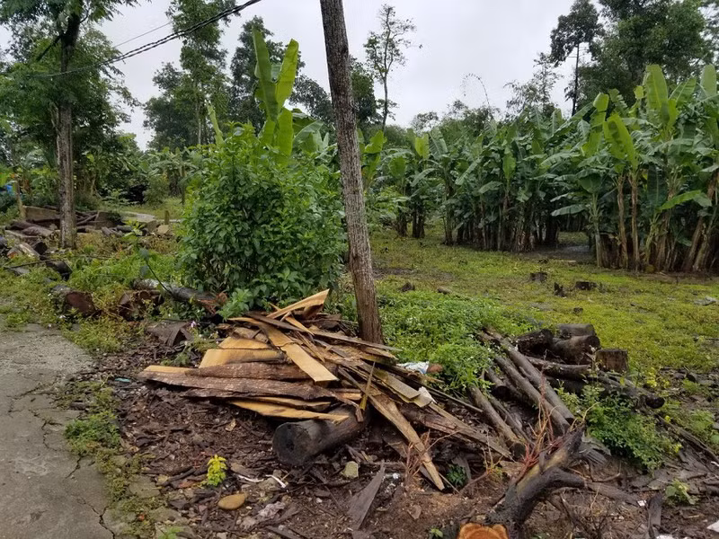 Hiện trạng của lô đất có giá khởi điểm 45 triệu đồng/m2.