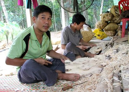 Về xã có gần 200 tỷ phú để hỏi cây gió trầm Về xã có gần 200 tỷ phú để hỏi cây gió trầm