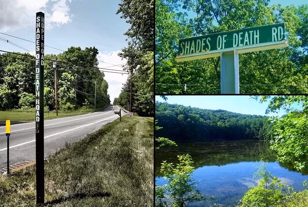 Dung tim voi nhung ‘con duong quy am’ rung ron nhat the gioi-hinh-anh-5