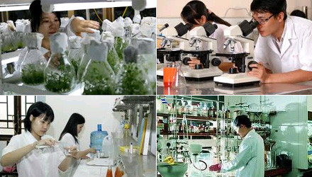 Năm 2015, Bộ GD&ĐT được phân bổ kinh phí sự nghiệp khoa học và công nghệ 6.480 triệu đồng
