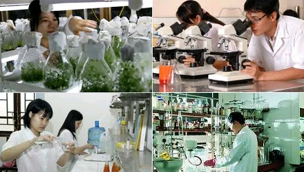 Năm 2015, Bộ GD&ĐT được phân bổ kinh phí sự nghiệp khoa học và công nghệ 6.480 triệu đồng