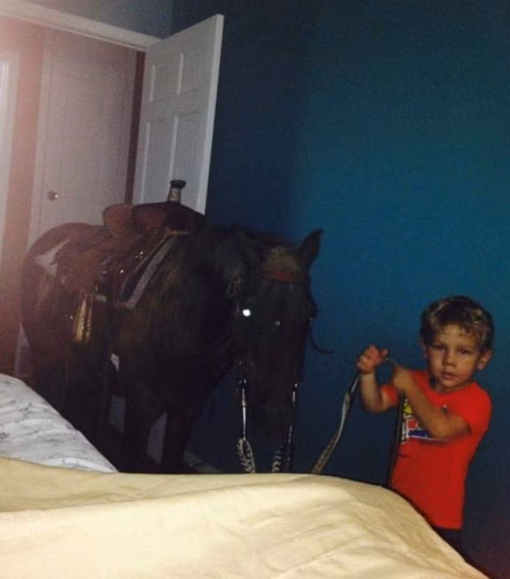 Còn đây là cách cậu con trai cưng giải nhiệt cho chú ngựa yêu quý của nó.
