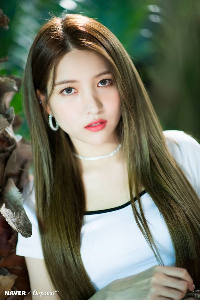 Nhan sac thanh vien quyen luc nhat cua cac nhom nhac Kpop hinh anh 5 48168118701_44fd8f5ed5_b.jpg