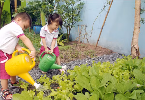 Trải nghiệm thực tế