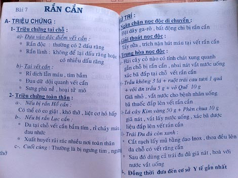 Nạn rắn lục đuôi đỏ: Cách giải nọc độc bằng thuốc dân gian ảnh 1 Nạn rắn lục đuôi đỏ: Cách giải nọc độc bằng thuốc dân gian ảnh 1