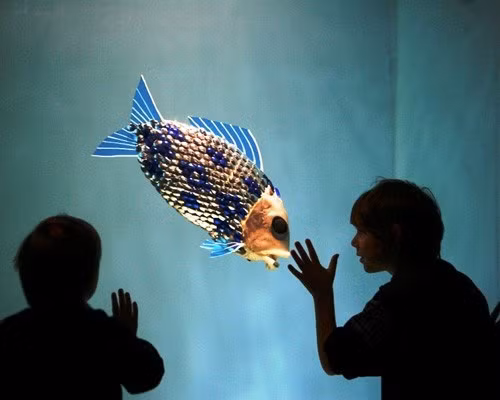 Những động vật “anh hùng” giúp con người giải cứu Trái đất ảnh 2