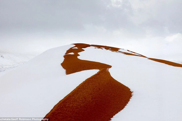 Trẻ em thích thú trượt tuyết trên... sa mạc Sahara