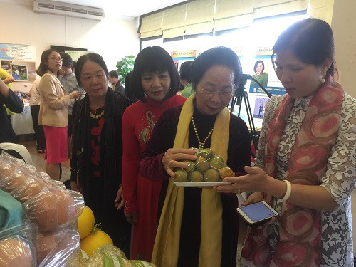 Nguyên Phó Chủ tịch nước, Chủ tịch Hội Khuyến học Việt Nam - Nguyễn Thị Doan - tham quan triển lãm Nguyên Phó Chủ tịch nước, Chủ tịch Hội Khuyến học Việt Nam - Nguyễn Thị Doan - tham quan triển lãm