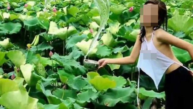 Đỏ mặt với hình ảnh của thiếu nữ Việt bên hoa sen Do mat voi hinh anh cua thieu nu Viet ben hoa sen