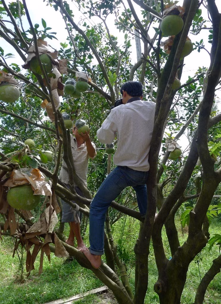 “Rùng mình” nhìn nhà báo miền Tây tác nghiệp