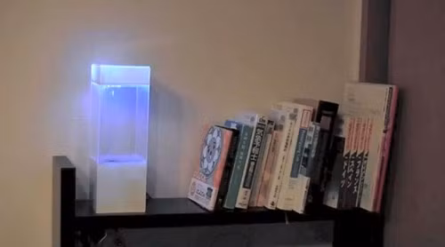 “Chiếc hộp thần kì” có khả năng dự báo thời tiết ảnh 1