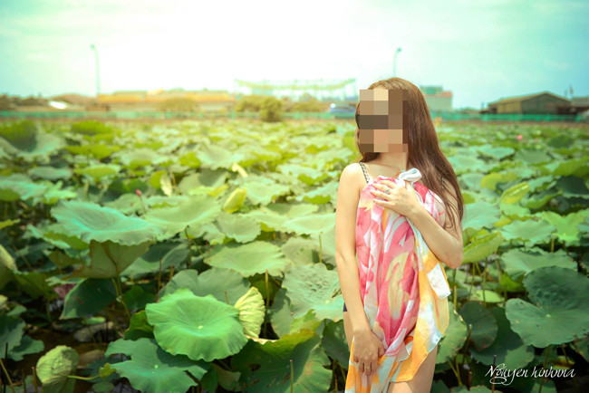 Đỏ mặt với hình ảnh của thiếu nữ Việt bên hoa sen Do mat voi hinh anh cua thieu nu Viet ben hoa sen