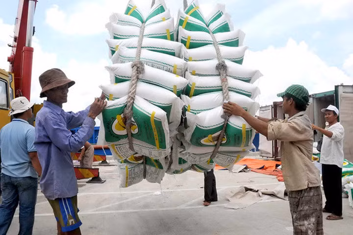 Trung Quốc lại ồ ạt nhập khẩu gạo nếp Việt Nam