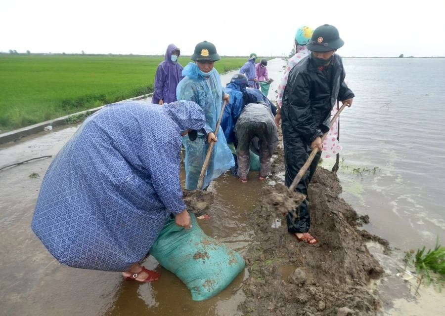 Lực lượng quân đội chuẩn bị bao cát để đắp đê ngăn lũ cứu lúa cho người dân tại huyện Phú Lộc.