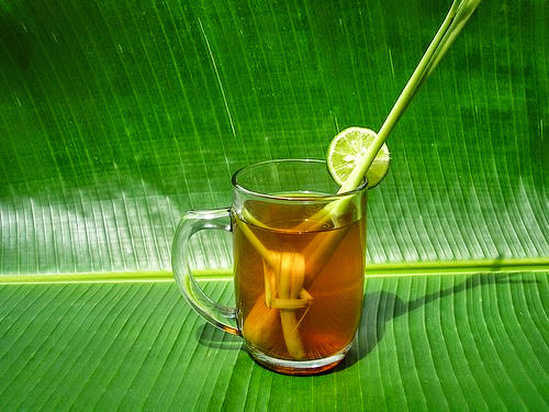 Những tác dụng “đắt giá” của cây sả: Nếu chưa biết, sẽ rất tiếc! ảnh 1 Những tác dụng “đắt giá” của cây sả: Nếu chưa biết, sẽ rất tiếc! ảnh 1