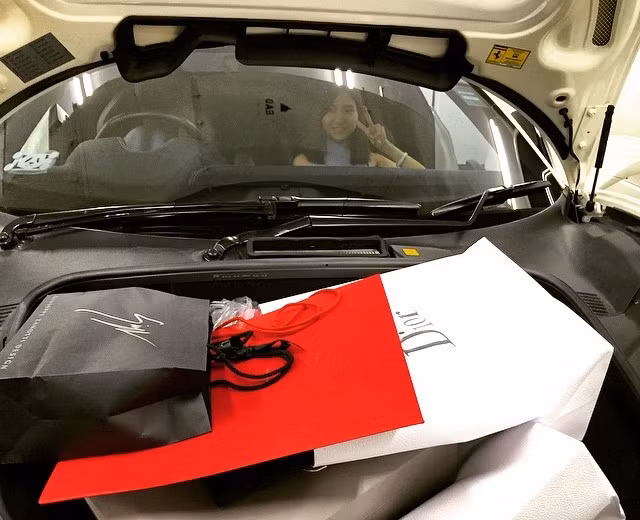 Cô cảm thấy có chút tiếc nuối khi đã không mua một chiếc xe hơi có thể chứa hết đống đồ hàng hiệu của mình, chủ yếu là các sản phẩm của Dior và Valentino.