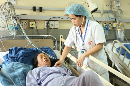 Ăn hoa loa kèn, 2 vợ chồng nhập viện cấp cứu - Ảnh 1