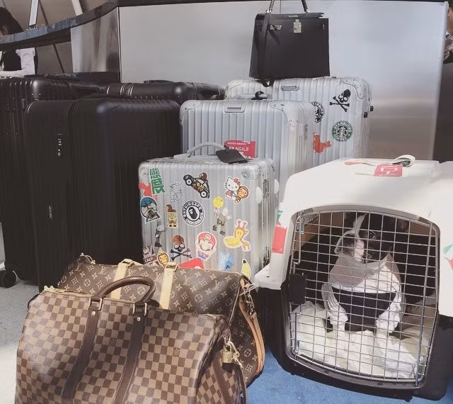 Cô tiểu thư cũng có niềm đam mê với những chiếc vali Louis Vuitton.