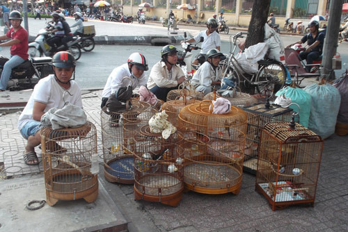 Lạ lùng chợ côn trùng chỉ rộng... 30m2 ảnh 8 Lạ lùng chợ côn trùng chỉ rộng... 30m2 ảnh 8