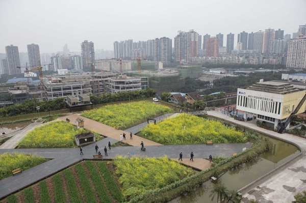 Chiêm ngưỡng trang trại 10.000 m2 trên nóc nhà - ảnh 1 Hình ảnh: Chiêm ngưỡng trang trại 10.000 m2 trên nóc nhà số 1
