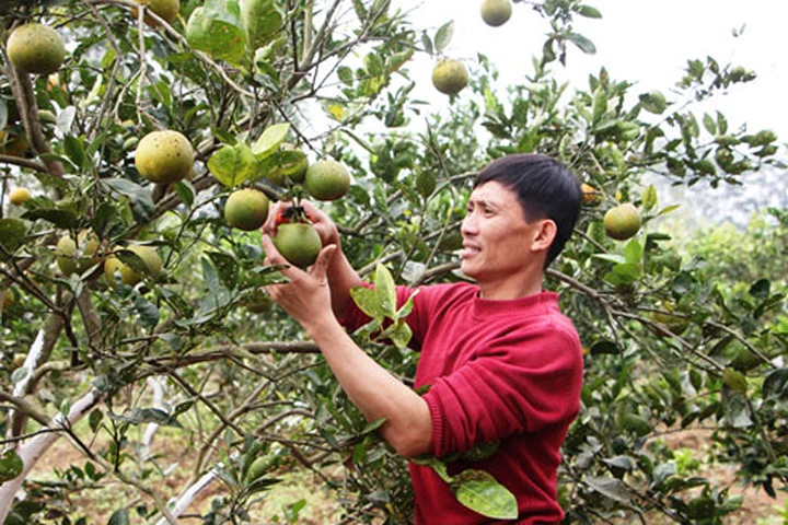 Làm lại cuộc đời từ... vấp ngã