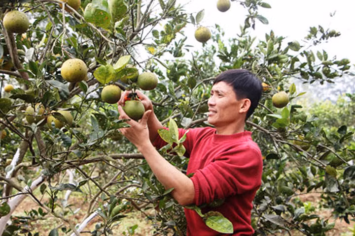 Làm lại cuộc đời từ... vấp ngã