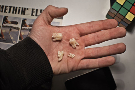 Nhung su that la lung ma thu vi o chau Nam Cuc - Anh 13