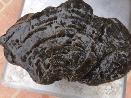 Khoi go ngoc am hoa thach doi mau, tra tram trieu chua ban - Anh 1