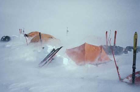 Nhung su that la lung ma thu vi o chau Nam Cuc - Anh 7